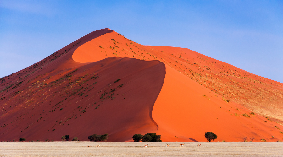 Namíbia – a força de paisagens que parecem de outro planeta