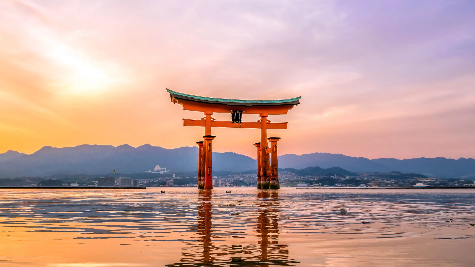A Rota de Iluminação de Kumano Kodo