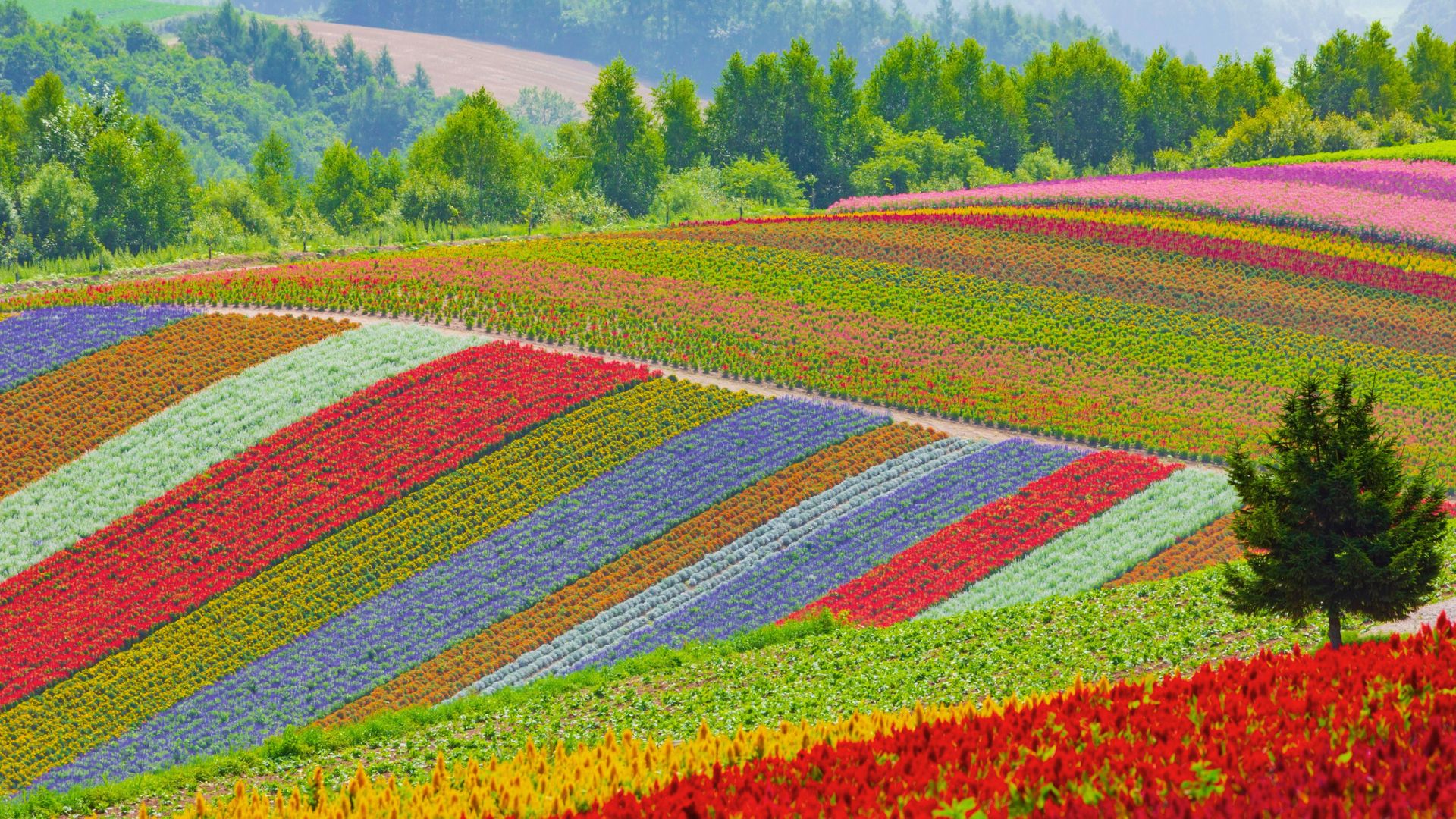 Hokkaido: Norte do Japão