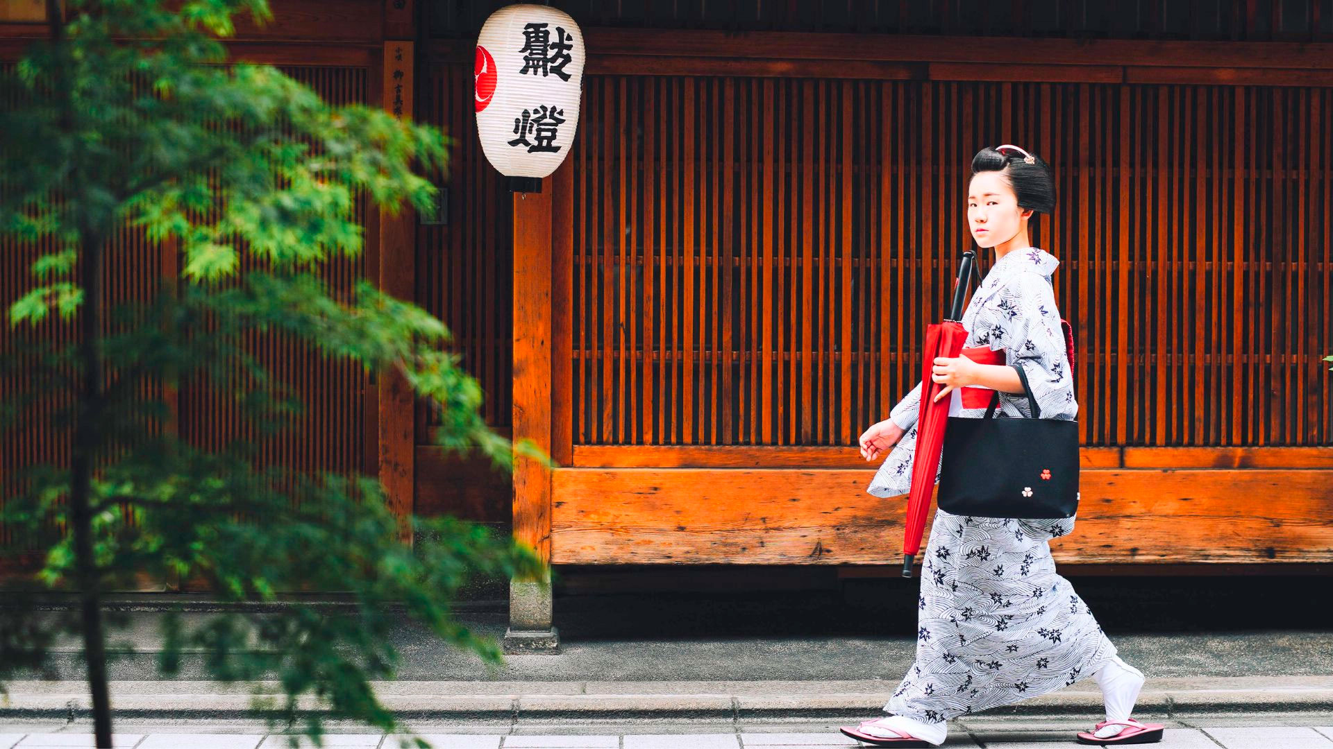 O Esplendor do Japão