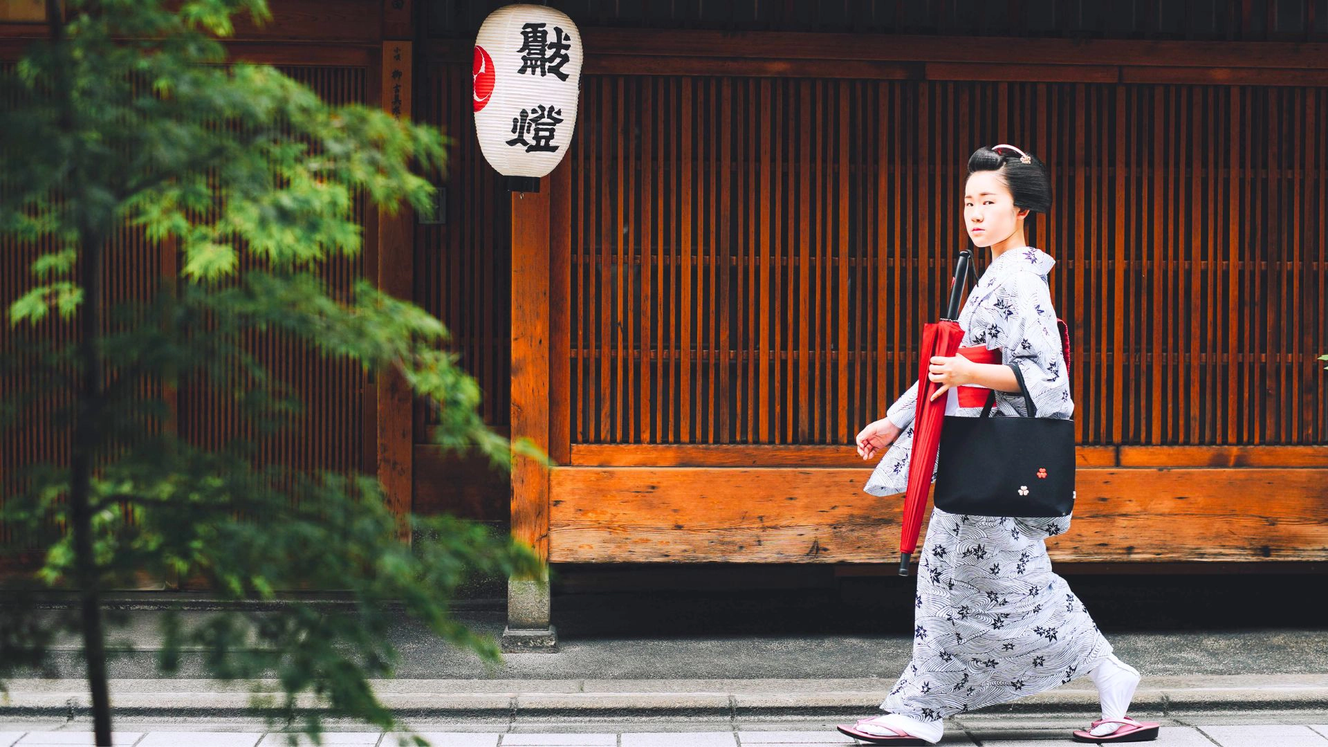O Esplendor do Japão